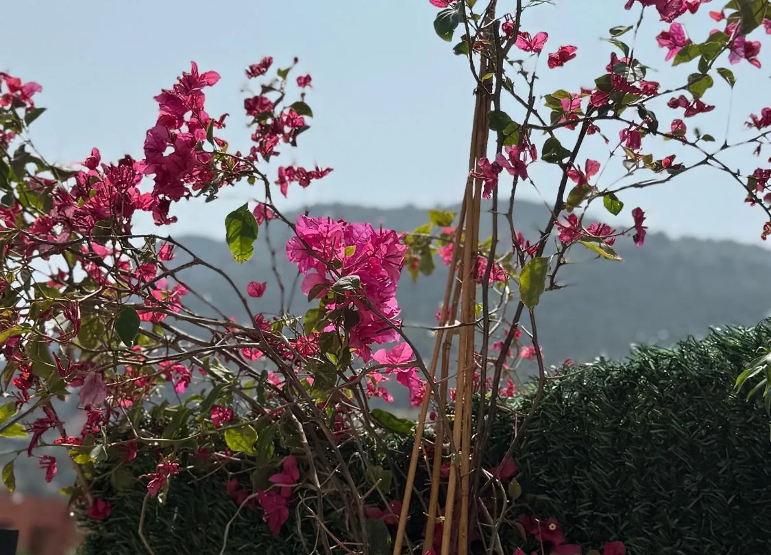 Rare, Private Garden, 2Bdr, Monaco Border Apartman Beausoleil